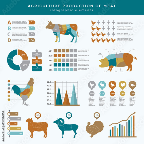 Agriculture farming infographic. Food animals farm technology nutrition business infographic template table chart with place for text. Farm agriculture information, animal cow and sheep illustration