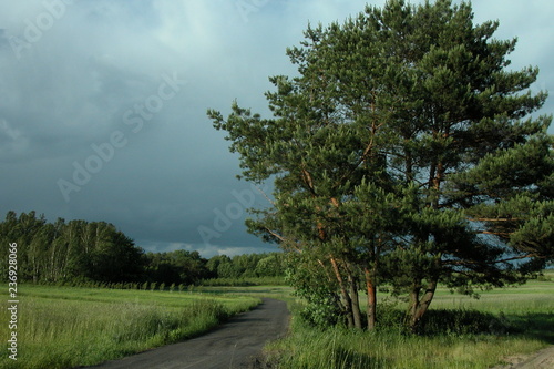 Wyzyna lubelska photo