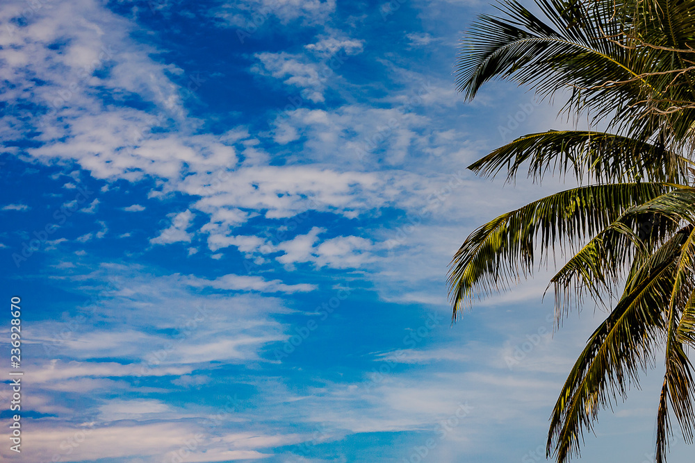 Fototapeta premium Beautiful seascape. Sea, mountains, sky, sunset and palm trees. Beautiful places of the island of Phuket, Thailand.