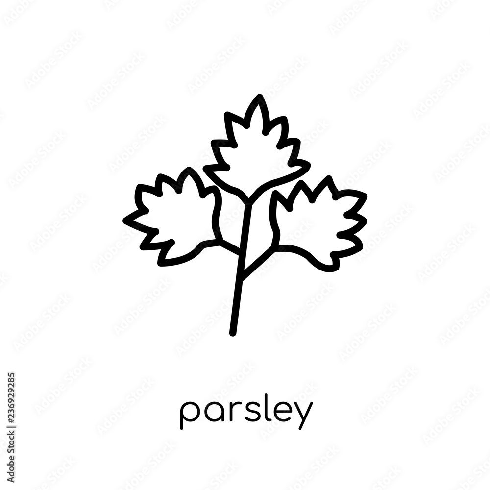 Fotografie Parsley icon from Fruit and vegetables collection.