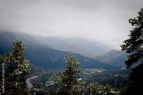 landscape with mountains trees and a river in front