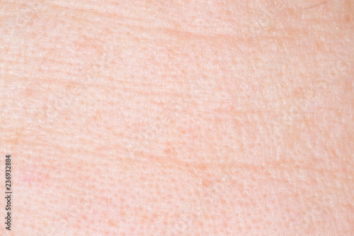 The texture of the skin