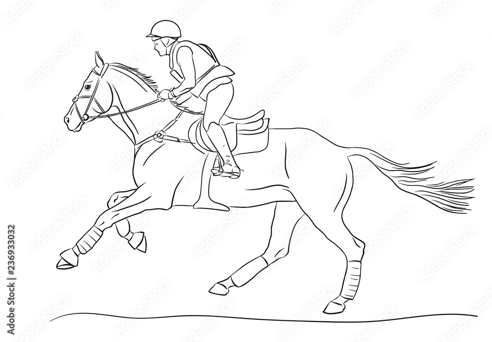 Equestrian sport, eventing competition. Equestrian sport, eventing competition.