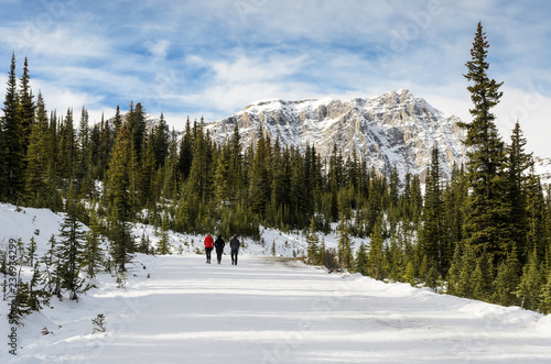 Panoramic trail to Peyto Lake at Banff National Park in Alberta, Canada