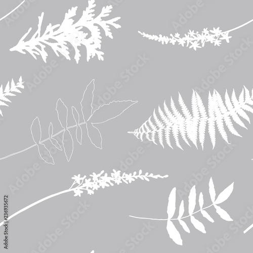 Botanical floral vector seamless pattern with hand drawn herbs, plants, flowe...