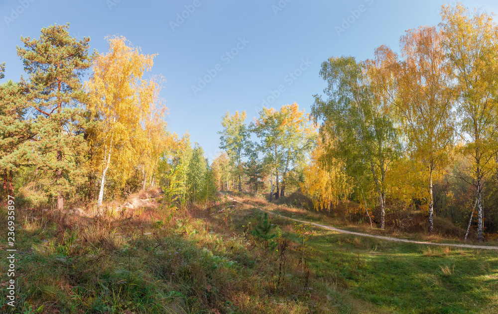Hillside with autumn forest, glade and footpath