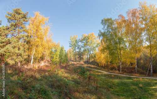 Hillside with autumn forest, glade and footpath