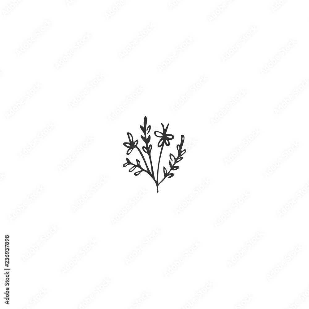 Vector floral hand drawn element in elegant and minimal style. Vector floral hand drawn element in elegant and minimal style.