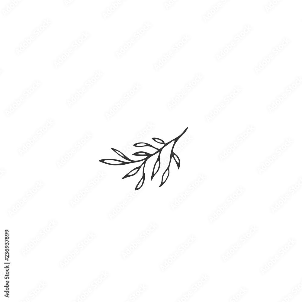 Vector floral hand drawn element in elegant and minimal style.