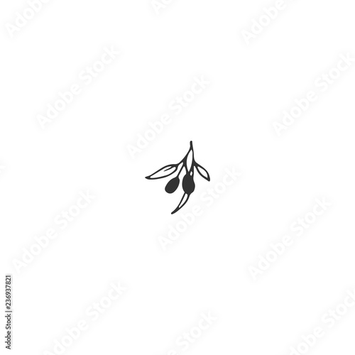 Vector floral hand drawn element in elegant and minimal style.