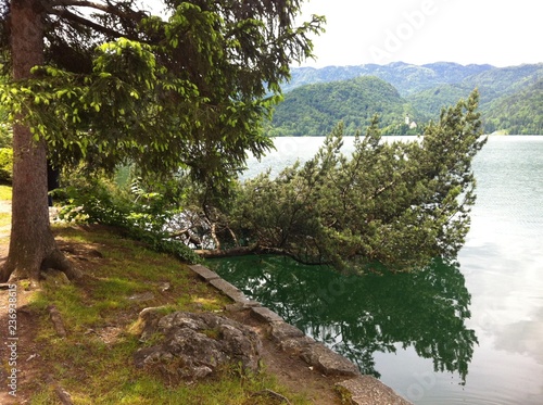 Natur