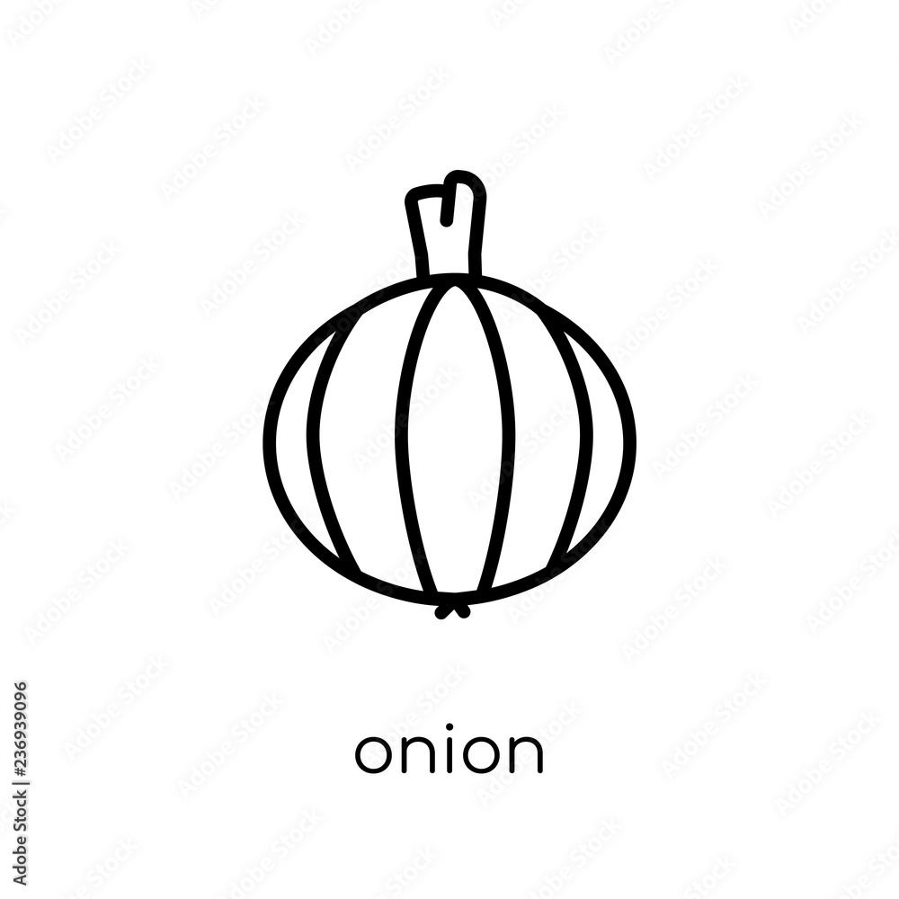Fototapeta premium Onion icon from Fruit and vegetables collection.