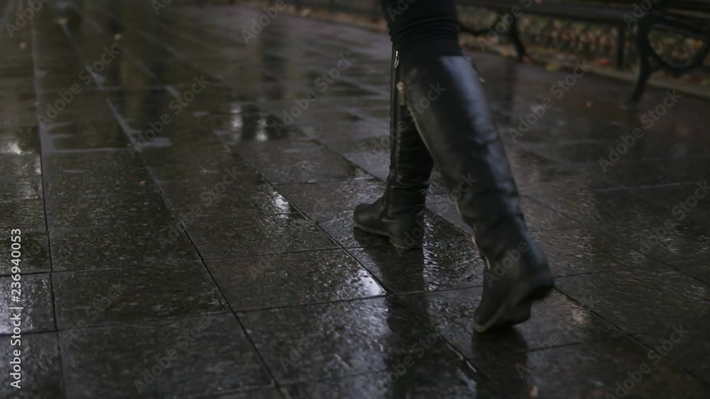 Woman take walk at autumn park walking along the pavement alley. Close up legs and shoes view. Graceful lady wear black high boots. Autumn weather, rainy, wet road. Rare view Woman take walk at autumn park walking along the pavement alley. Close up legs and shoes view. Graceful lady wear black high boots. Autumn weather, rainy, wet road. Rare view