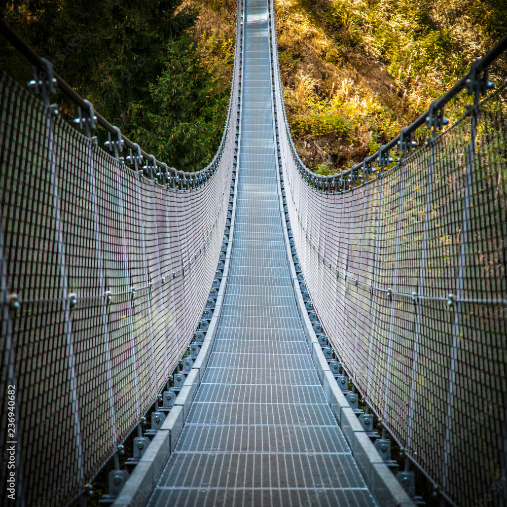 Fototapeta premium suspended bridge on alps