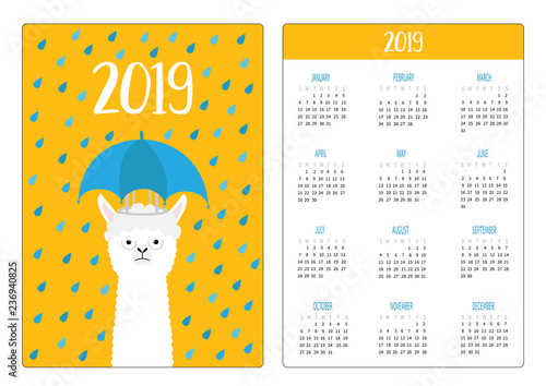 Llama alpaca, rain umbrella. Simple pocket calendar layout 2019 new year. Week starts Sunday. Cute cartoon character. Vertical orientation. Flat design. Orange background.