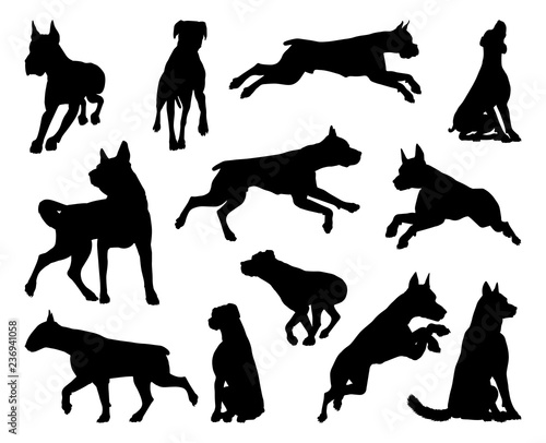 A set of detailed animal silhouettes of a pet dog