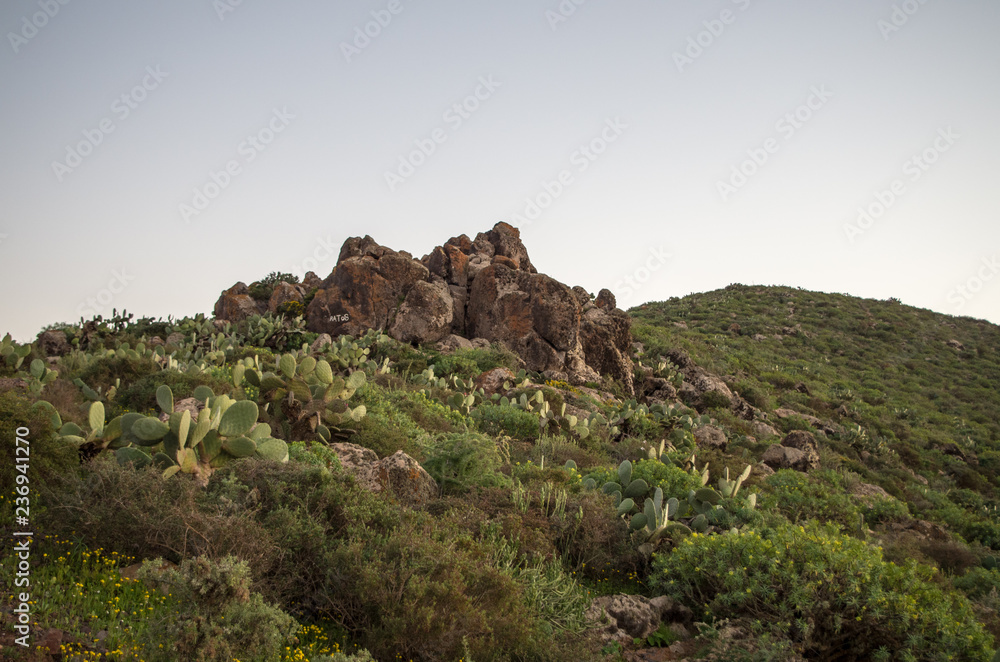 Rocks in the desert near Sidi Ifni.