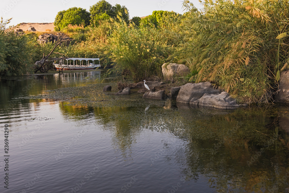 View of river nile in Aswan Egypt with egret and boat