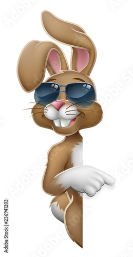 Easter bunny rabbit cartoon character in cool sunglasses or shades peeking around a sign and pointing at it