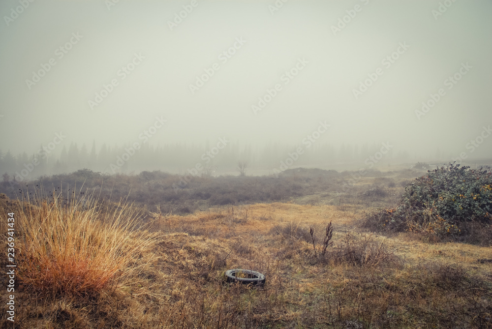 Vast field in fog with silhouette of trees and a tire. Misty morning in the field. Vast field in fog with silhouette of trees and a tire. Misty morning in the field.