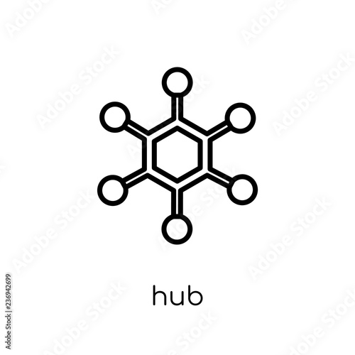 Hub icon. Trendy modern flat linear vector Hub icon on white background from thin line Internet Security and Networking collection