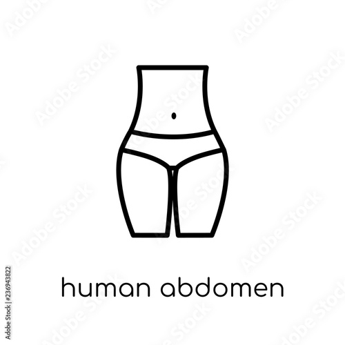 Human Abdomen icon. Trendy modern flat linear vector Human Abdomen icon on white background from thin line Human Body Parts collection