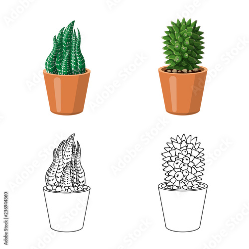 Isolated object of cactus and pot symbol. Collection of cactus and cacti vector icon for stock.
