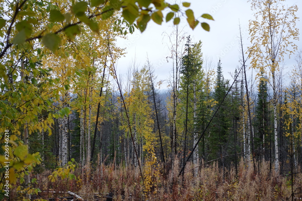 Fototapeta premium Nature Travel Landscape