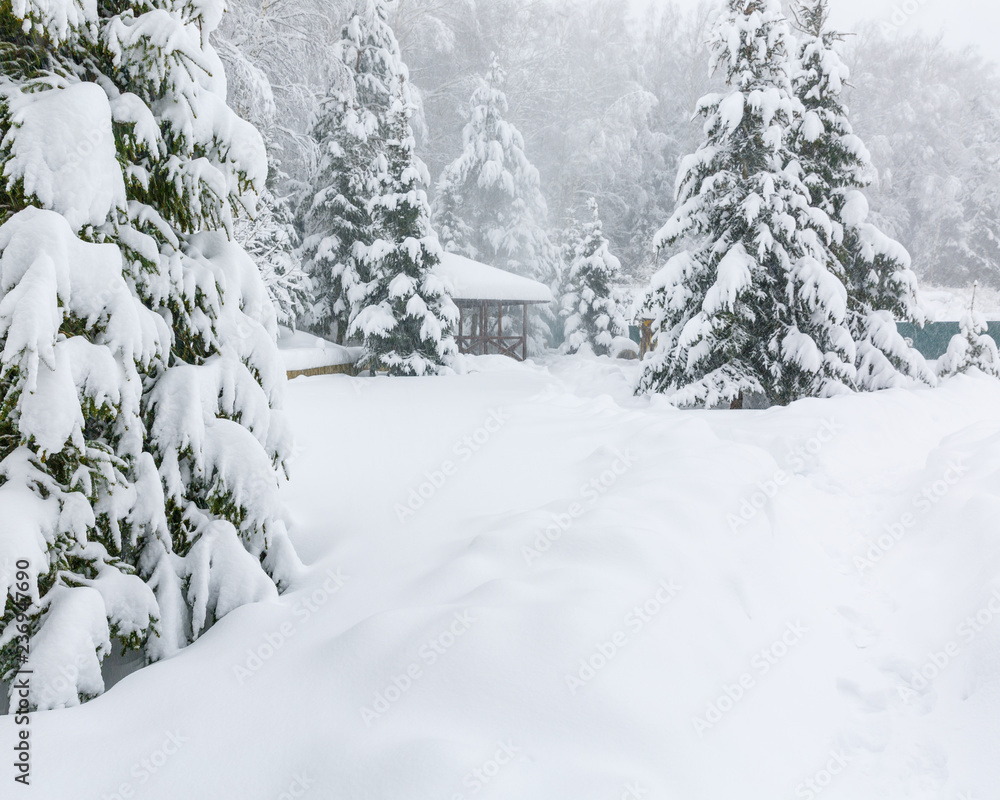 Winter landscape with falling snow. Snowfall in the countryside, snowy fir trees, winter nature. Winter landscape with falling snow. Snowfall in the countryside, snowy fir trees, winter nature.