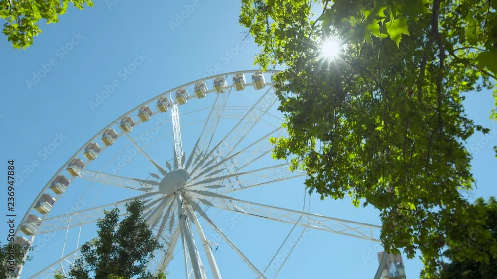 Lockdown: A Ferris Wheel Spins Slowly Seen Through Thick Tree Foliage Lockdown: A Ferris Wheel Spins Slowly Seen Through Thick Tree Foliage