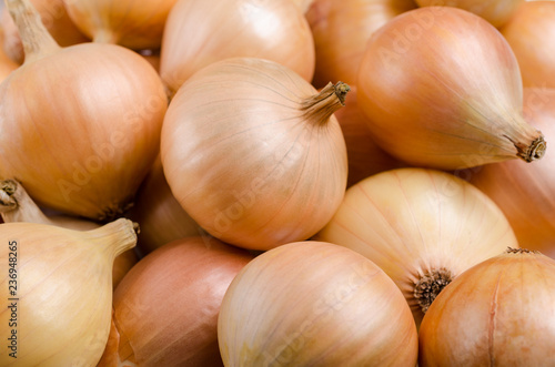 Pure organic raw onion