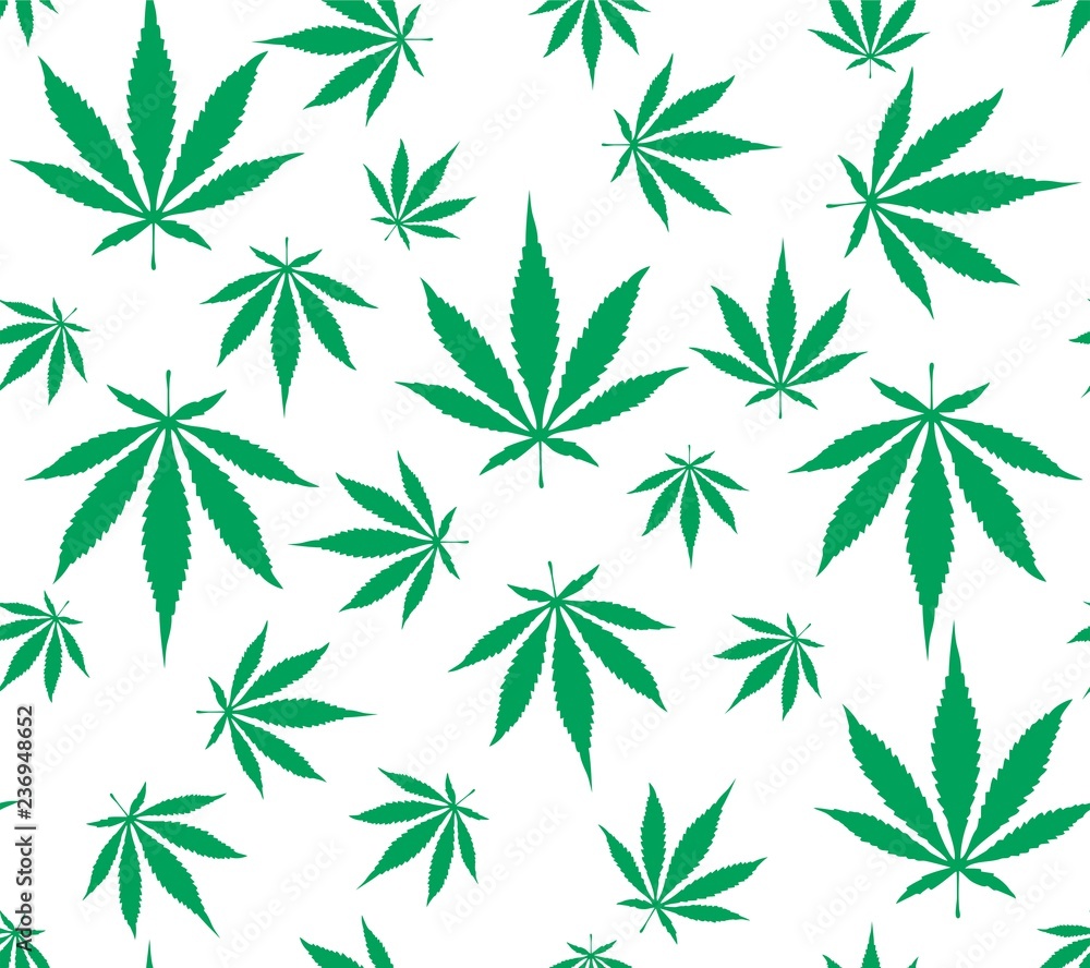 Hemp Cannabis Leaf seamless vector pattern