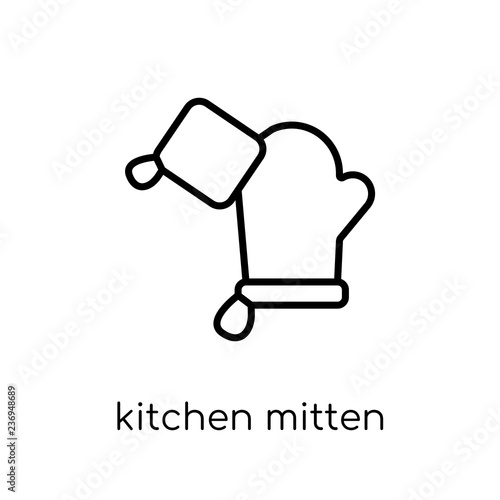 kitchen Mitten icon from Kitchen collection.