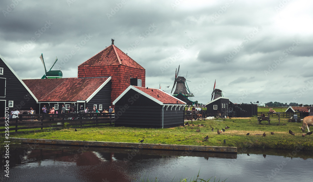 Fototapeta premium cloudy afternoon with windmills in holland