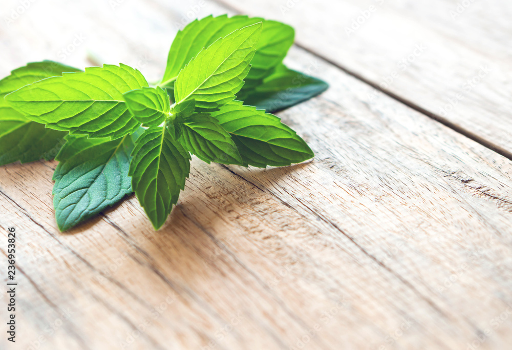 Closeup fresh mint on wood table background, herb and medical concept, selective focus Closeup fresh mint on wood table background, herb and medical concept, selective focus