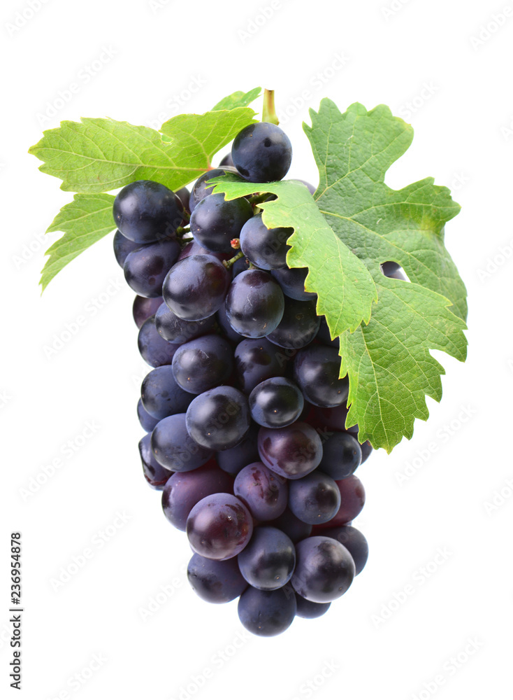 Grapes on a white background Grapes on a white background