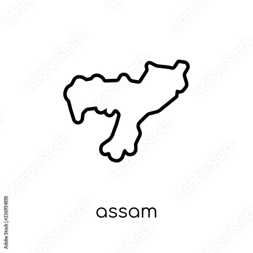 assam icon. Trendy modern flat linear vector assam icon on white background from thin line india collection photo
