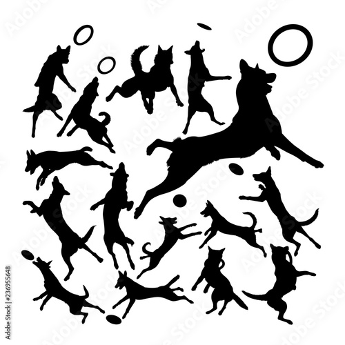 Malinois belgian shepherd dog silhouettes. Good use for symbol, logo, web icon, mascot, sign, or any design you want.