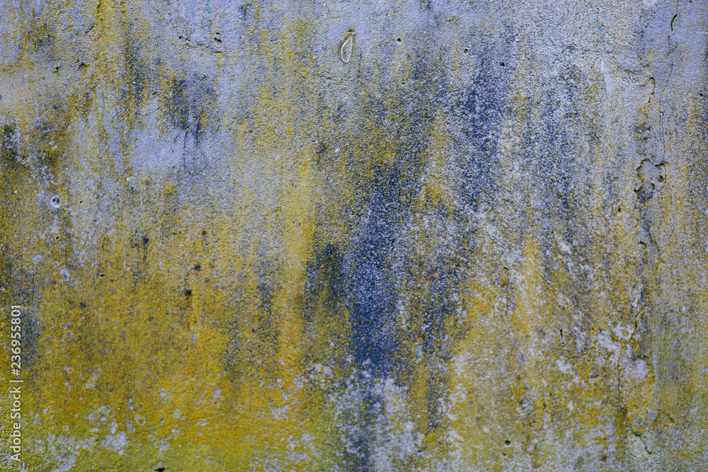 Naklejka premium rough texture of a old gray yellow blue wall.