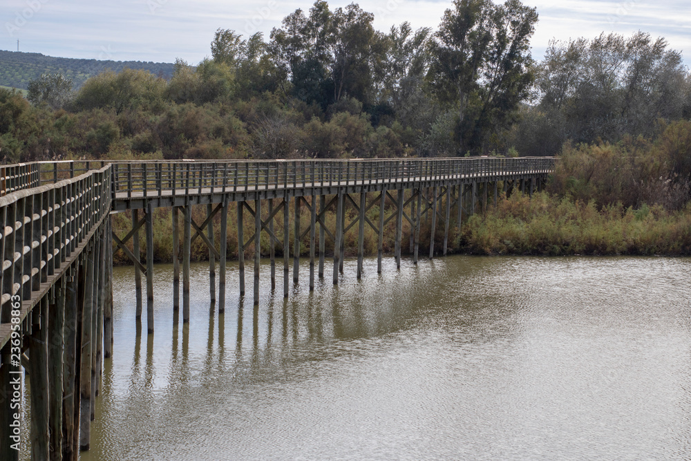 old wooden bridge