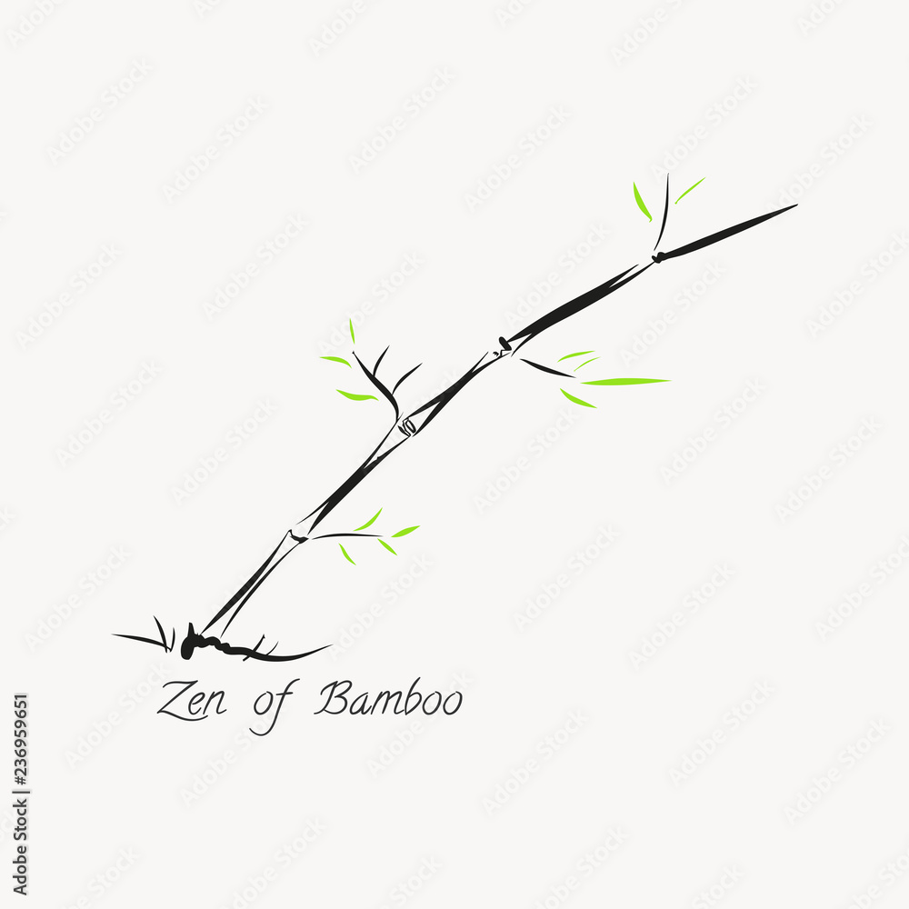 Fototapeta premium Bamboo hand drawn Vector illustration.