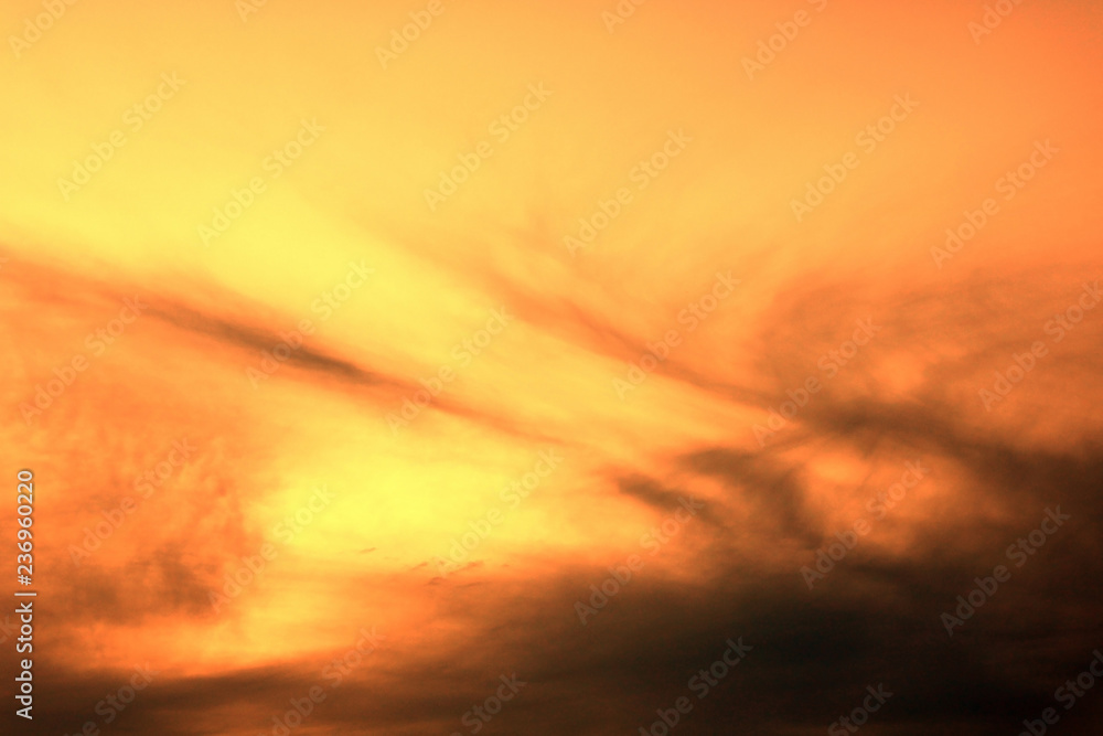 Orange sunset in summer