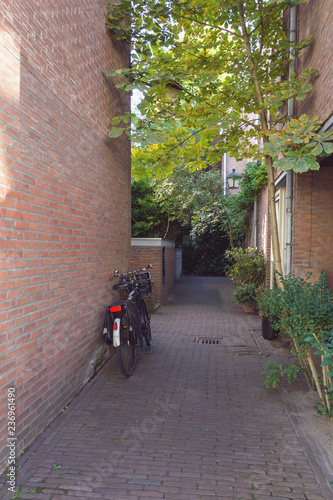 pass to the backyard of houses in Utrecht