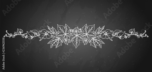 Graphic branch with grape leaves and curly elements