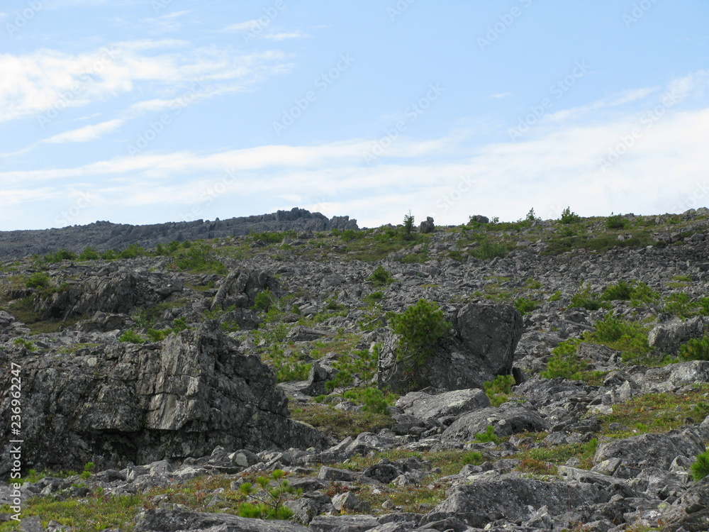 Nature Travel Landscape