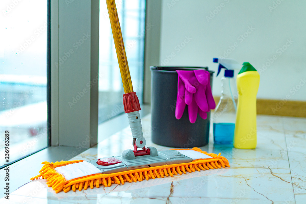 Disinfectants, mop, cleaning products for cleaning the house and