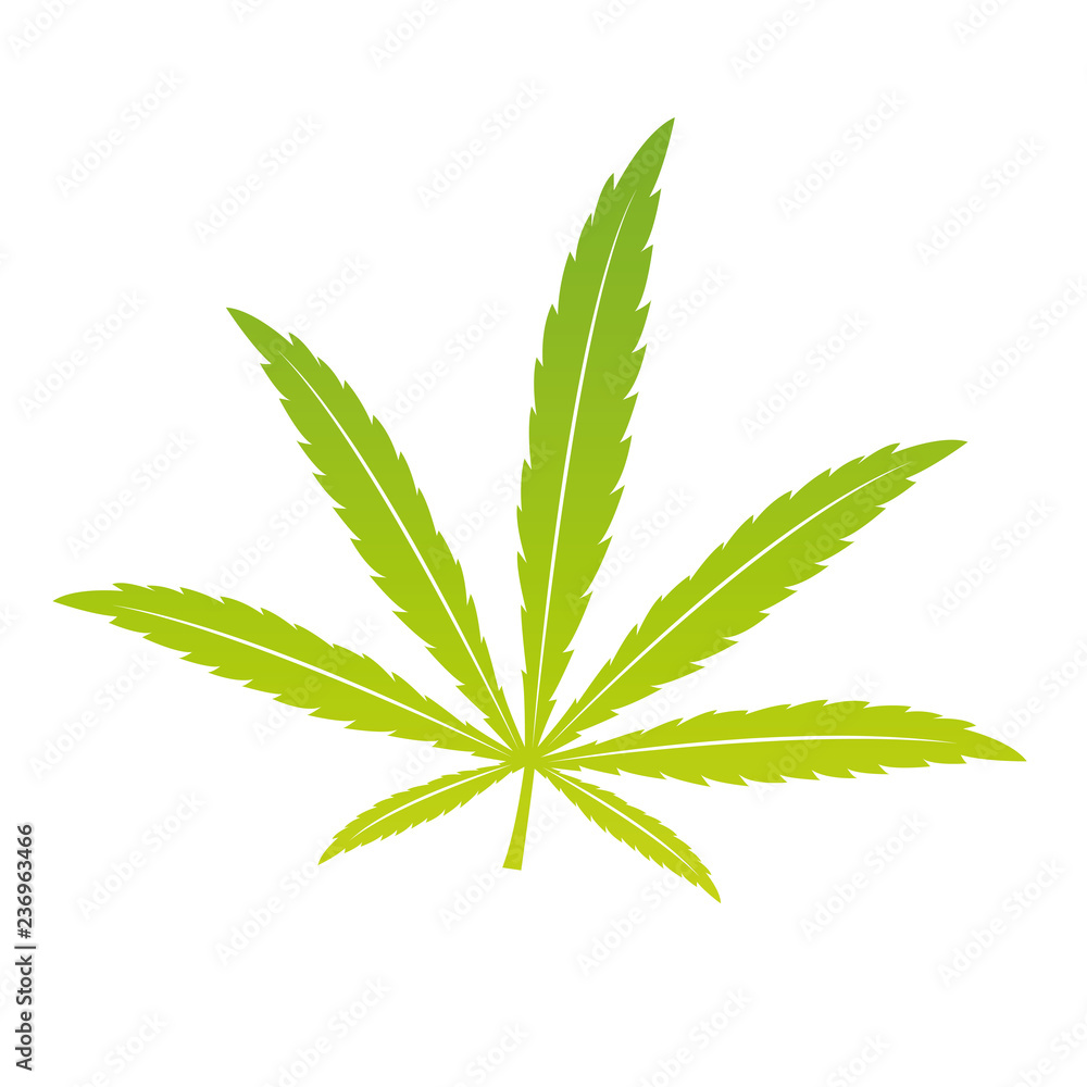 green cannabis leaf isoladet on white background vector illustration EPS10 green cannabis leaf isoladet on white background vector illustration EPS10