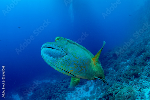 Underwater Submarine Subsea