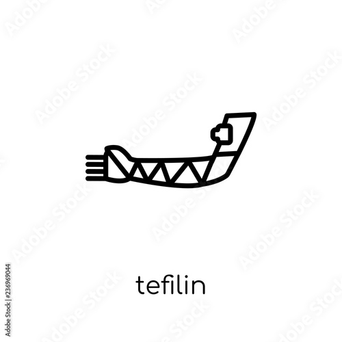 Tefilin icon. Trendy modern flat linear vector Tefilin icon on white background from thin line Religion collection