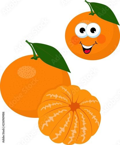 Mandarines, tangerine, clementine with leaves isolated on white background. Citrus fruit. Funny cartoon character. Vector Illustration